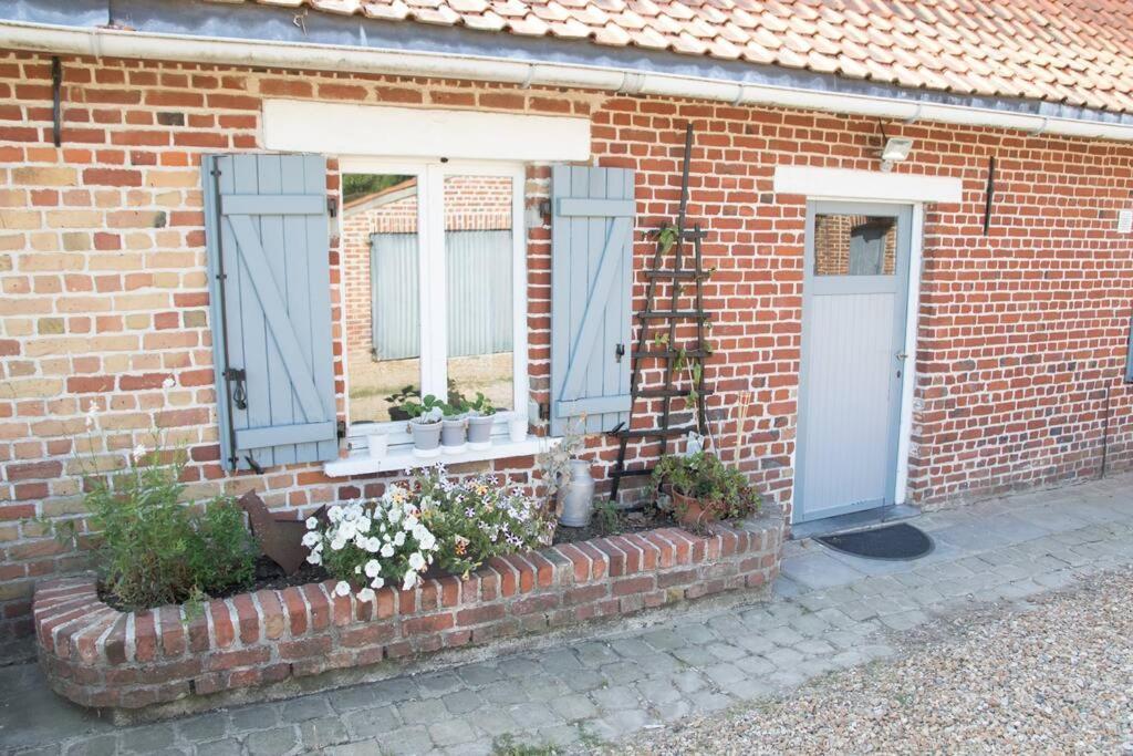 Cottage Chaleureux Au Coeur Des Monts De Flandres Saint-Jans-Cappel Dış mekan fotoğraf