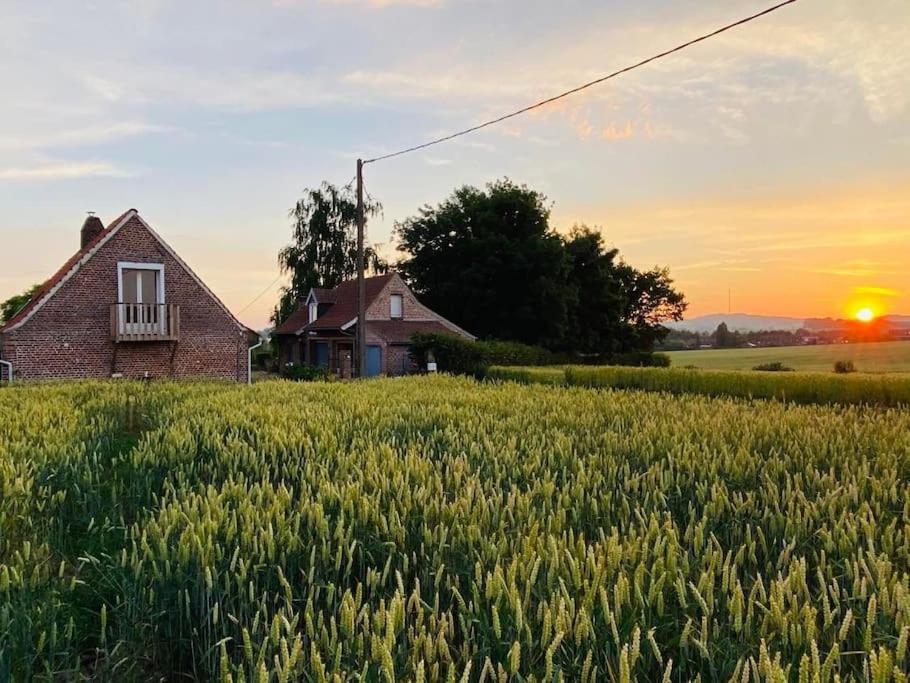Cottage Chaleureux Au Coeur Des Monts De Flandres Saint-Jans-Cappel Dış mekan fotoğraf